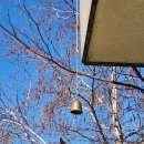 캠핑n펜션 이미지