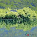 자연의숨결 이미지