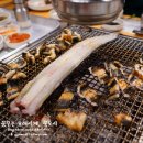 장어의 꿈 이미지