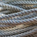 수원-0276 이미지