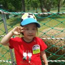 석천목장 이미지