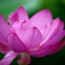 감정코칭심리상담사(2급) 이미지