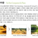 코템 이미지