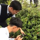 자연과학대학관 Daum카페