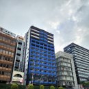 고고렌트카강 네이버블로그