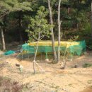 복합영농 이미지