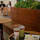 폴콘 이미지
