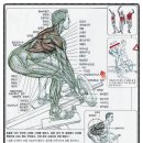 티바이오(주) 이미지