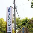 스카이랜드부동산중개법인 이미지