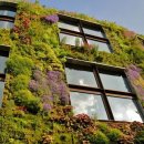 수직의 정원 이미지