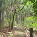 번영로길 이미지