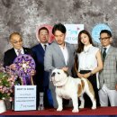 (주)서초 이미지