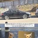 아르(arr)
