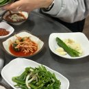 이지비야 이미지