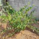 재만농장 이미지