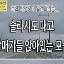 솔라시도 대교에서 갈매기들 앉아 있는 모습 보는데 기분 좋았어요. 이미지