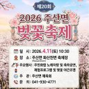 (주)파로스정보통신 | 2026 주말 벚꽃 명당은 여기! 한화 대천 파로스 객실 후기 &amp; 조식 할인 꿀팁🌸
