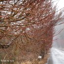 망월주유소 이미지