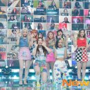 퍼플케이(purple k) 이미지