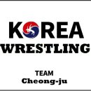 팀레슬라이킥 | ﻿팀 레슬라이킥 레슬링&MMA 이용후기!