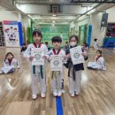 연세파워태권도 이미지