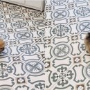 천안강아지분양 우리집퍼피 천안아산본점 (하이도그) 이미지