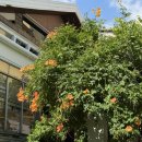 룰루헤어샵 | [연남동] eof/이오브/이오브연남본점/osds연남/오에스디에스연남/연남동카페/연남동헤어샵