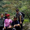 수락산계곡 이미지