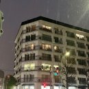 [일본/도쿄] 시부야 하라주쿠 휴먼메이드 블루보틀 매장 악세사리 양말 삭스