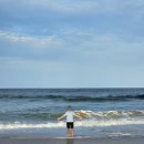 골드펍(GOLD PUB) | [호주]5일차_5박7일 가족 패키지 여행 / 골드코스트 헬기투어, 글로우웜, 탬버린 마운틴, 갤러리워크...