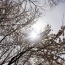 카스토리(CAR STORY) 이미지