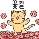 꽃길세탁소 이미지