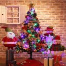 트리밸리 이미지