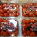 중도매인20호 이미지