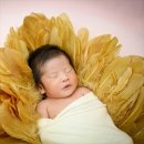 스튜디오알(주) 이미지