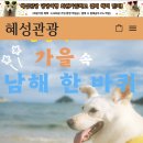 혜성관광 이미지