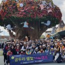 한국 청소년적십자 이미지