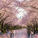 필승로(4) 이미지