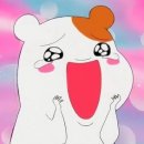 거북김치삼겹