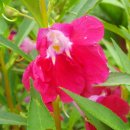 성효농장 이미지