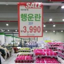 이지할인마트 이미지