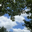 장평농장 | 거제 장평 점심 농장삼계탕