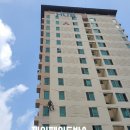 SK허브수 이미지