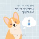 광명 24 아이디동물의료센터 이미지