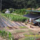 일만농장 이미지