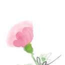 일러스트 캘리그라피 이미지