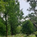 단아치과 이미지