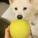 홍*유