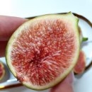 홍주농장 이미지