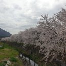 중담1주차장 이미지